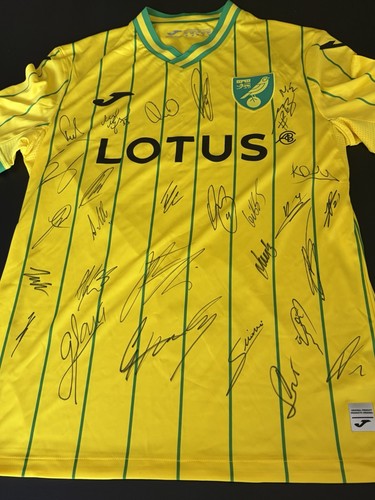 Norwich city squad - norwich,
