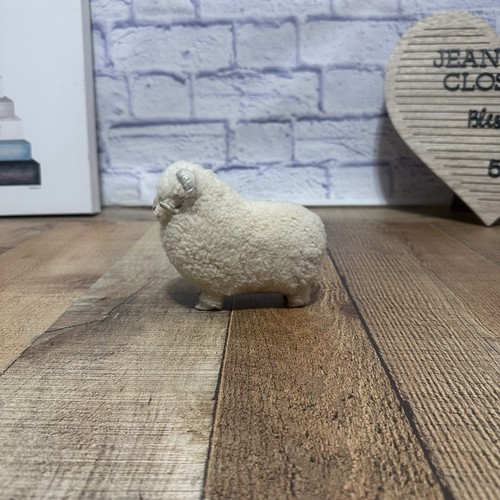 German wooly ram long - long, horn