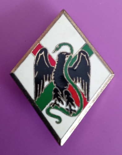 French foreign legion 1st - french,