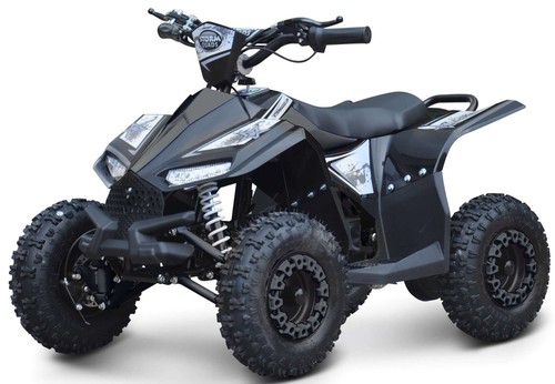 Renegade ranger 1000w 36v kids - 1000w,