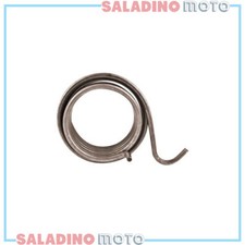 SPRING SET IN MOTION MANDELLI