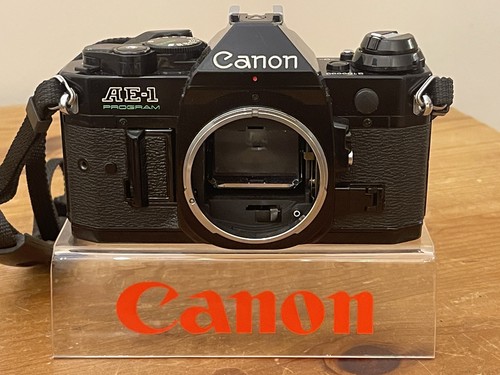 Canon program body in - body,
