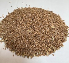 British whole wheat grain - british,