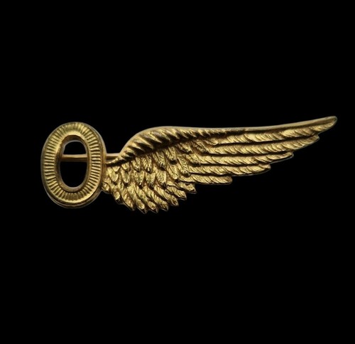 Ww2 wwii raf observer - raf, wing