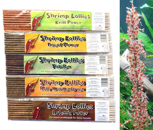 Shrimp lollies protein - shrimp,