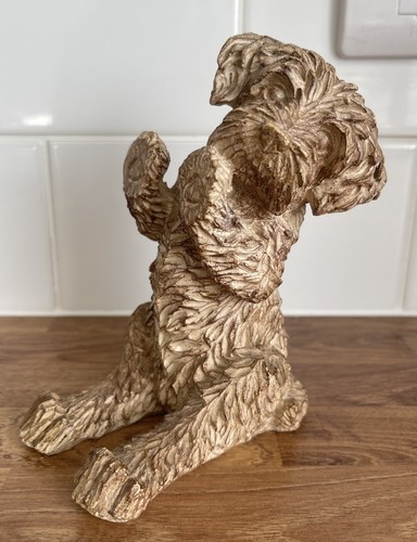 Next charlie the - next, cockapoo