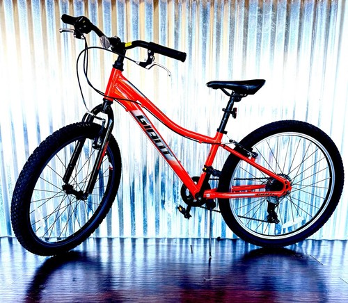 Giant xtc orange kids - jr., 24"