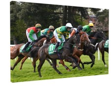 AP TONY MCCOY HORSE RACING FINAL RACE CANVAS PICTURE PRINT WALL ART