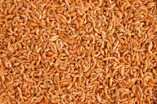 Natural aquarium freeze - natural, dried