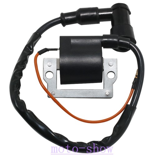 Ignition coil for - ignition,