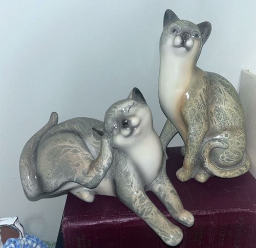 Set two cat - of,