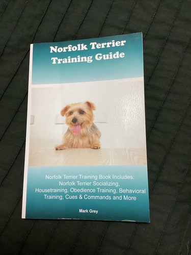 Norfolk terrier training - norfolk,
