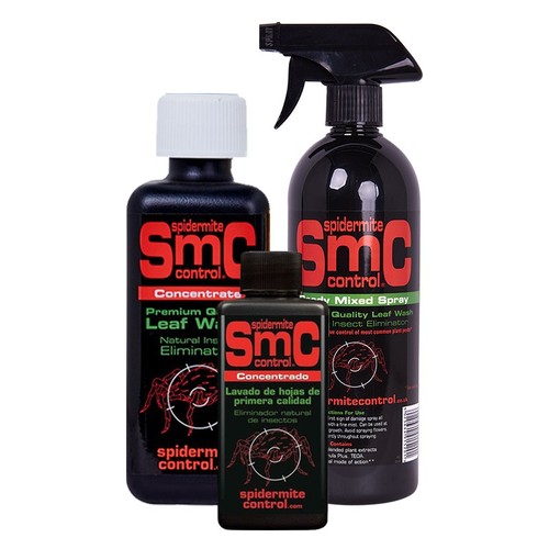 Smc spider mite - smc,