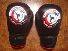 Kickboxing Kids Junior Gloves