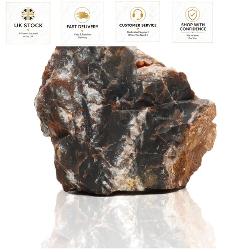 Natural petrified rock - natural,