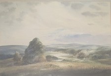 Mid Century Landscape