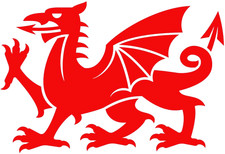 'Welsh Dragon' Vinyl Sticker for cars, motor bikes, campers, Rugby 6 Nations