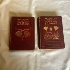 Warne Wayside And Woodland