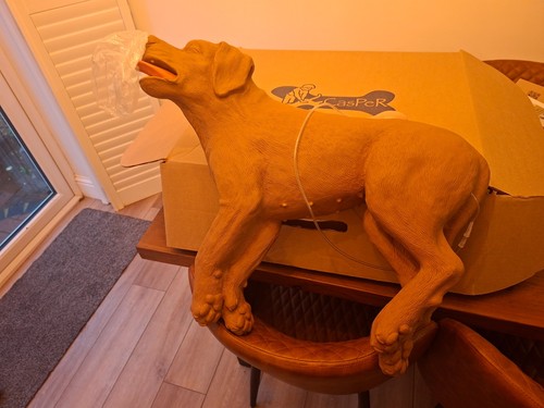 Casper dog resuscitation - casper,
