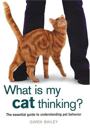 What cat thinking - thinking?, the
