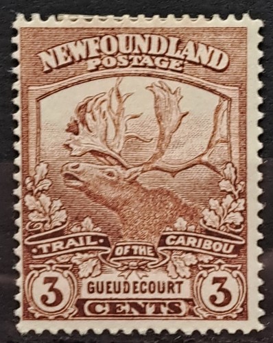 Newfoundland 1919 contingent - newfoundland,
