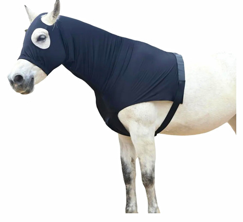 Black sweet itch horse - itch, hood