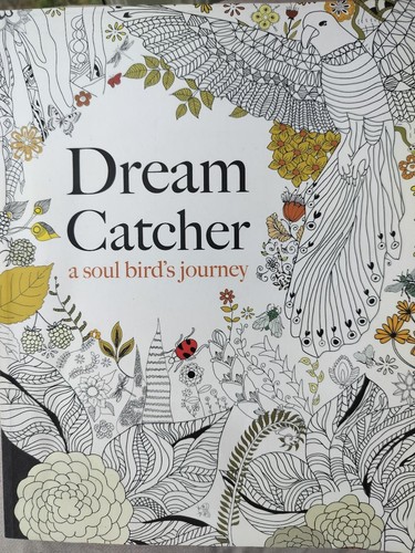 Dream catcher soul bird s - dream, a
