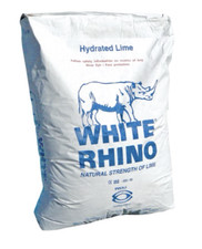 Genuine white rhino - genuine,