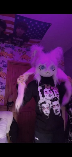 Fursuit head adult - adult, unisex