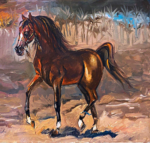 The arabian horse - arabian”,