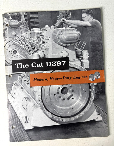 Caterpillar the cat - the,