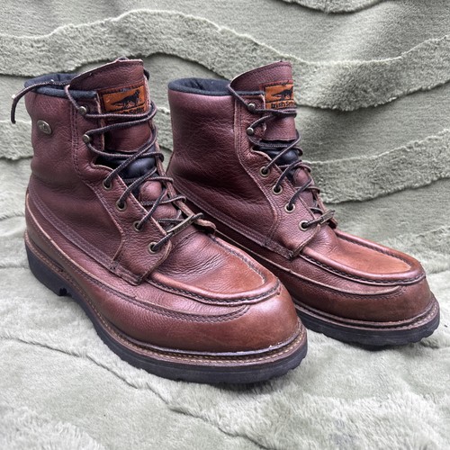 Irish setter red wing - irish, moctoe