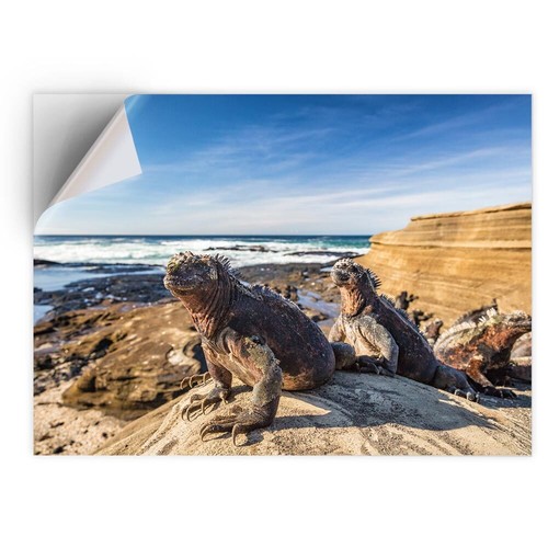 Vinyl sticker galapagos - 1x,