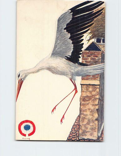 Postcard igor alsatian stork - postcard,