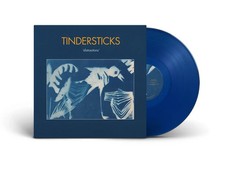 Tindersticks - Distractions
