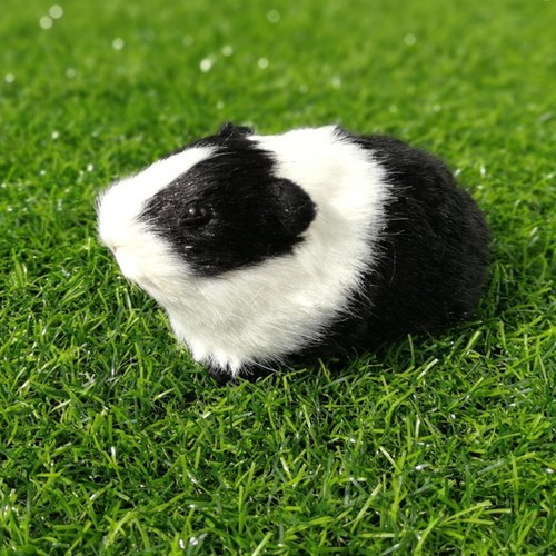 Hamster guinea realistic faux - guinea,