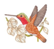 MACHINE EMBROIDERY DESIGNS USB