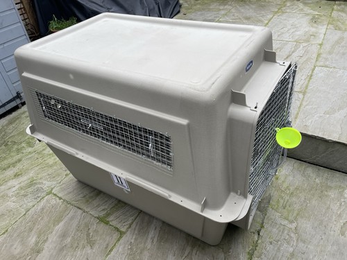 Dog sky kennel travel - sky,