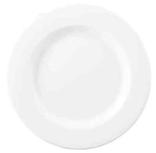 Dudson Solaris 305mm plates