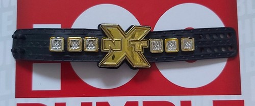 Nxt world title - nxt,
