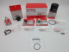 Genuine Yamaha 300hr Service