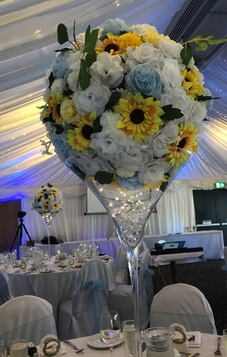 Extra large martini glass - large,