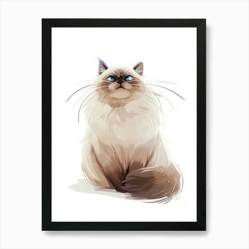 Himalayan cat clipart - cat,