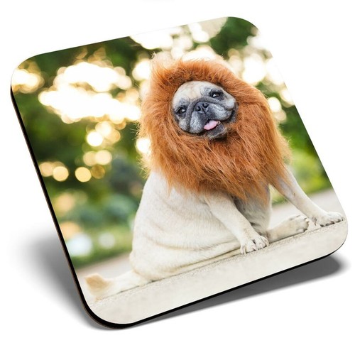 Square single coaster cute - coaster,