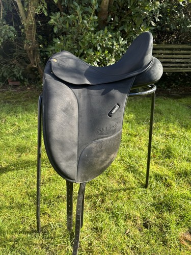 Winter isabell dressage - winter,