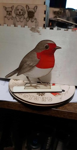 Homemade robin christmas - homemade,