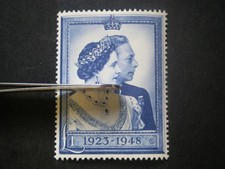 GB KGVI 1948 Royal Silver Wedding £1 blue SG494 UM/MNH