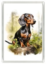 DACHSHUND BEAUTIFUL SMOOTH HAIRED DOG ART PRINT NOVELTY FRIDGE MAGNET GREAT GIFT