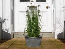 Vintage Style Galvanised Metal