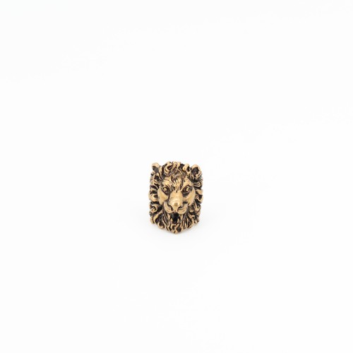 Gucci lion head - gucci,